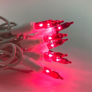 100 Mini Christmas Lights Pink With White Cord Mini Lights with dimensions 1000 X 1000