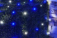 4 X 6 Led Net Lights 100 Blue Cool White Lamps Green Wire intended for dimensions 1200 X 1200