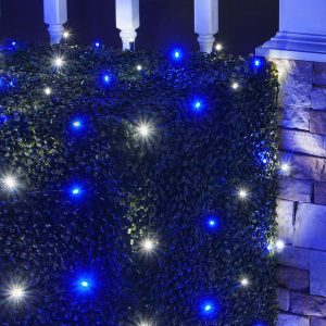 4 X 6 Led Net Lights 100 Blue Cool White Lamps Green Wire intended for dimensions 1200 X 1200