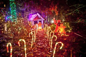 6 Places To See The Christmas Lights In Vancouver with proportions 3865 X 2576