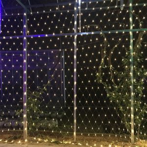 64m Led String Lights Net Lights Fishnet Lights Christmas intended for sizing 1001 X 1001