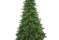 9 Ft Pre Lit Led Natural Foxtail Fir Artificial Christmas Tree With within dimensions 1000 X 1000