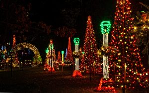 Adorable Garvan Gardens Christmas Lights 2017 Within Garvan Gardens for proportions 2500 X 1559