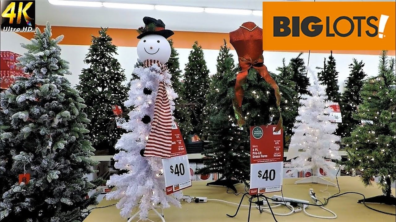 All Christmas Trees At Big Lots With Prices Christmas Shopping intended for measurements 1280 X 720