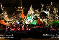 Auburn Ca Dreams Of Christmas Festival Of Lights Parade On Driving with measurements 1280 X 720