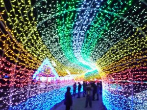 Beautiful Christmas Lights In Japan Punipunijapan regarding measurements 1024 X 768