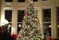 Beautiful Twinkling Lights Christmas Tree Pictures Photos And within dimensions 768 X 1024