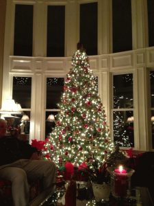 Beautiful Twinkling Lights Christmas Tree Pictures Photos And within dimensions 768 X 1024