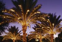 Best Christmas And Holiday Lights Displays In Miami regarding proportions 802 X 1024