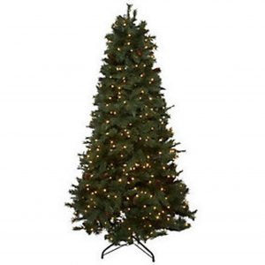 Bethlehem Lights Ashford Pine Christmas Tree with sizing 1292 X 1292