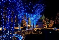 Blue And White Christmas Lights Homesfeed within proportions 1024 X 768