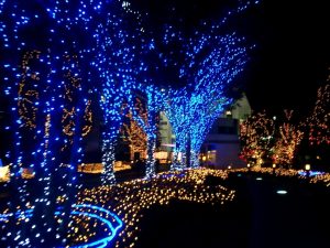 Blue And White Christmas Lights Homesfeed within proportions 1024 X 768