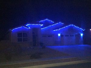 Blue C9 Led Christmas Light Bulbs in measurements 2048 X 1536