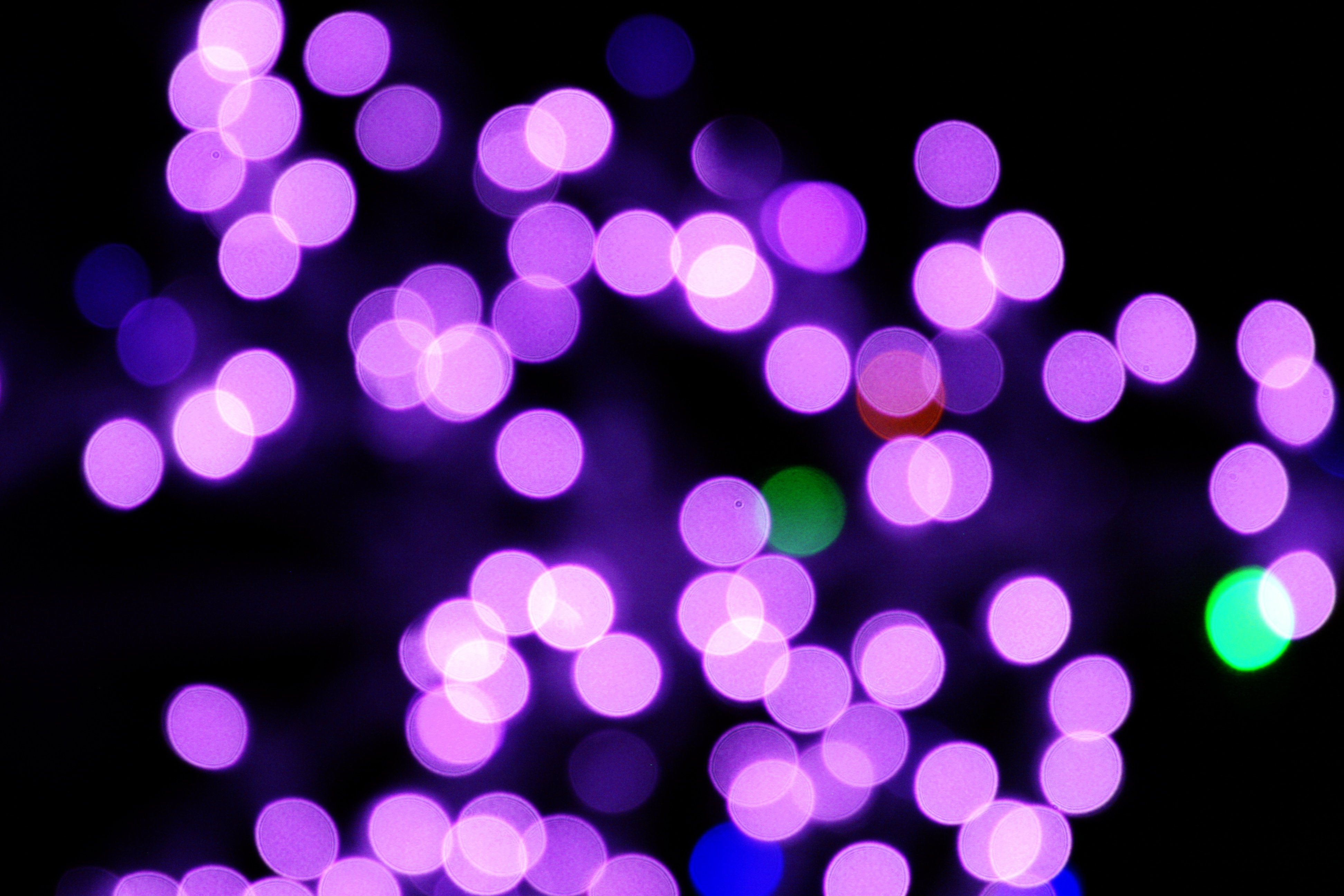 Blurred Christmas Lights Purple Photos Public Domain pertaining to size 3888 X 2592