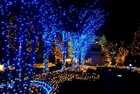 Bright Colors Images Bright Christmas Lights Hd Wallpaper And pertaining to measurements 1600 X 1200