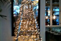 Check Out Our Fancy Tree That Matches The Beautiful Light Scheme At inside proportions 960 X 1280