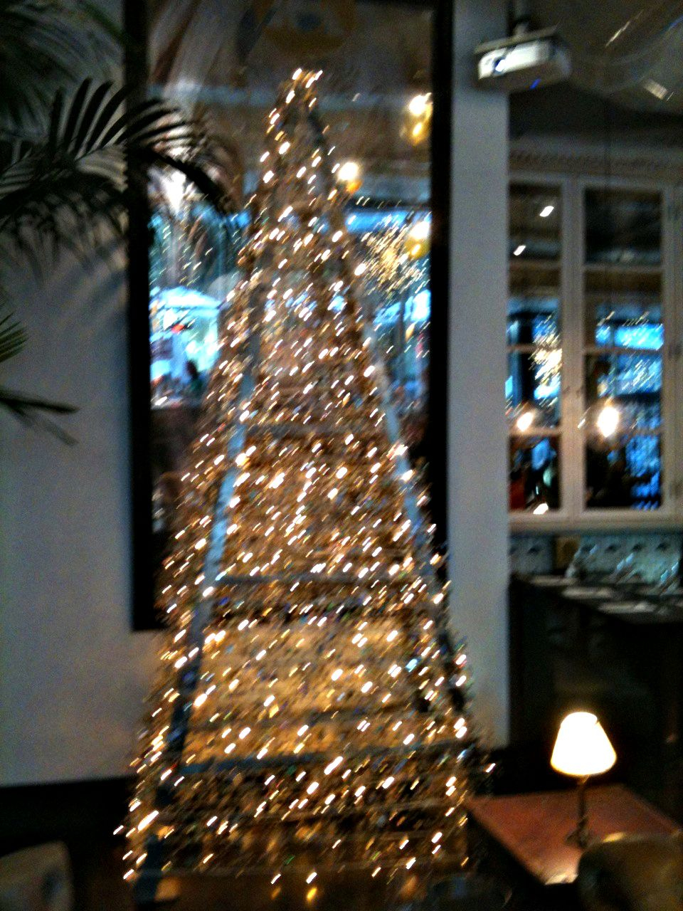 Check Out Our Fancy Tree That Matches The Beautiful Light Scheme At inside proportions 960 X 1280