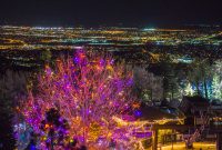 Cheyenne Mountain Zoo Electric Safari pertaining to proportions 1600 X 1067