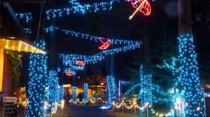 Christmas In The Garden Package Oregon Garden Resort within dimensions 1600 X 890