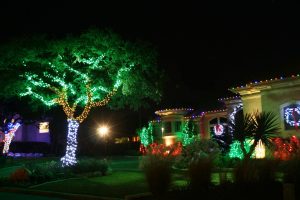 Christmas Light Ideas For Outside Trees Ctimg throughout proportions 3456 X 2304