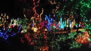 Christmas Lights At The Ethel M Candy And Cactus Garden In Vegas inside sizing 1280 X 720