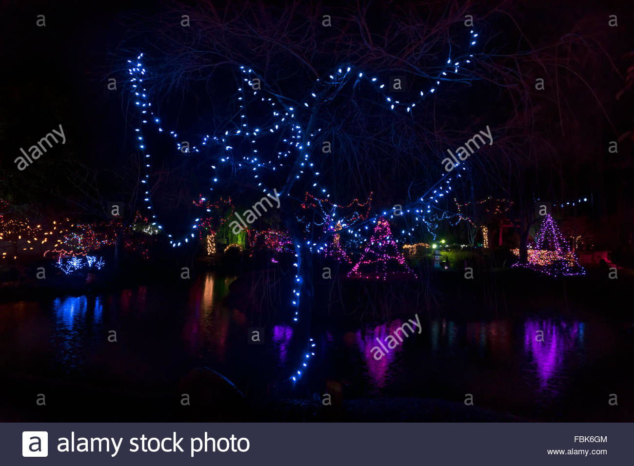 Christmas Lights Japanese Gardens Mayne Island British Columbia for size 1300 X 956