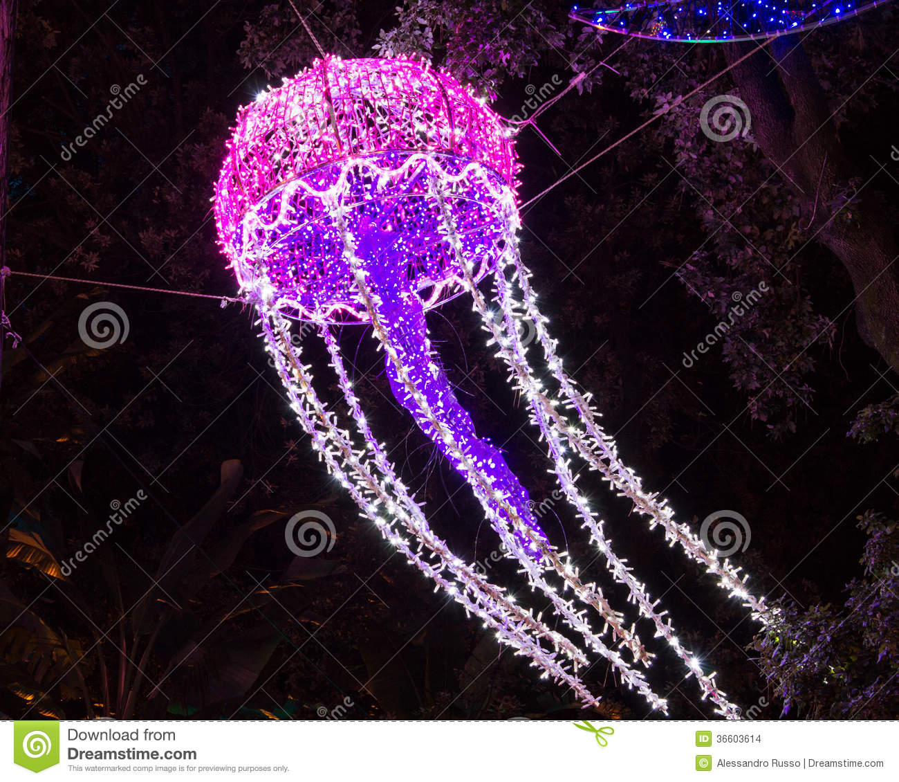 Christmas Lights Jellyfish Stock Photo Image Of Season 36603614 pertaining to sizing 1300 X 1130