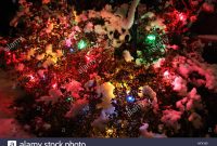 Christmas Lights On A Bush In The Snow Vancouver British Columbia within proportions 1300 X 956