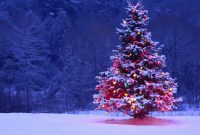 Christmas Tree Full With Lights And Snow Hd Wallpaper inside proportions 5120 X 3200