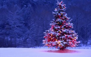 Christmas Tree Full With Lights And Snow Hd Wallpaper inside proportions 5120 X 3200