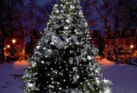 Christmas Tree Light Ideas Christmas Light Ideas Inspiration for proportions 1536 X 2000