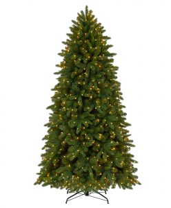 Classic Fraser Fir Christmas Tree Tree Classics for measurements 1940 X 2350