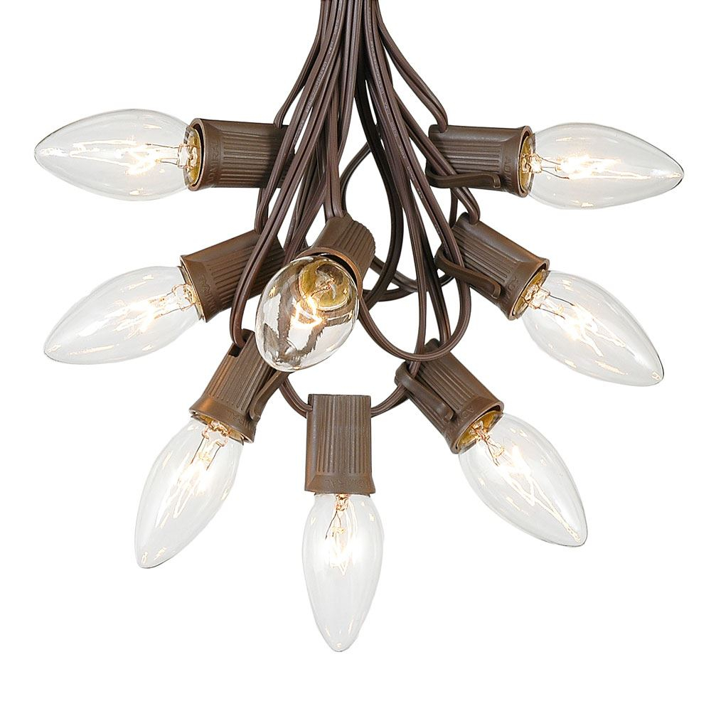 Clear C9 Outdoor String Light Set On Brown Wire Novelty Lights Inc pertaining to measurements 1000 X 1000