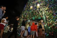 Delray Will Replace Unsafe 100 Foot Christmas Tree For Nearly throughout proportions 4788 X 3480