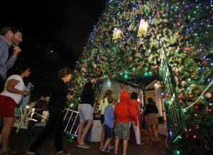 Delray Will Replace Unsafe 100 Foot Christmas Tree For Nearly throughout proportions 4788 X 3480