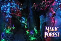 Enchanted Forest Christmas Lights Christmas Site 2018 throughout size 1400 X 927
