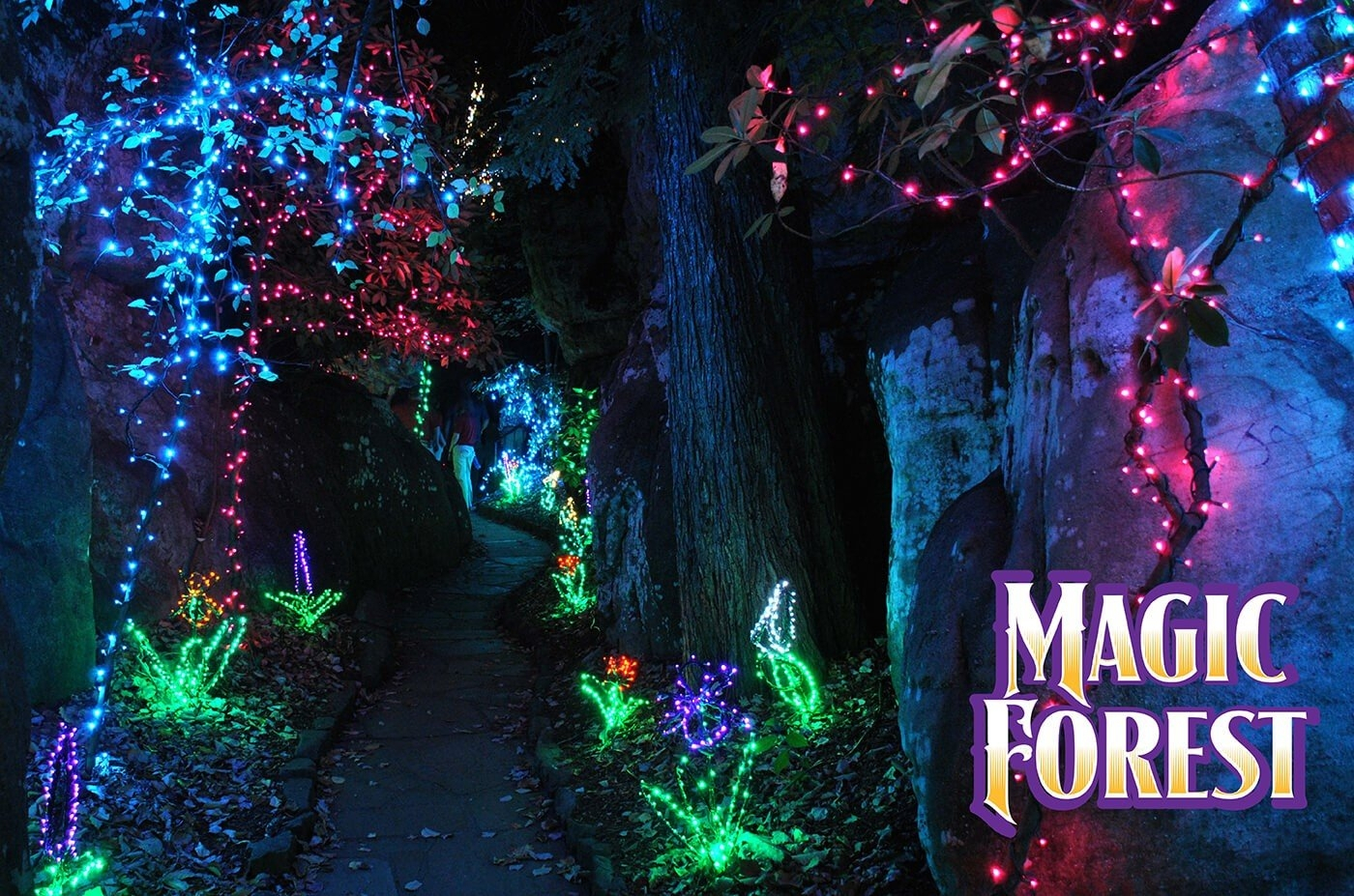 Enchanted Forest Christmas Lights Christmas Site 2018 throughout size 1400 X 927