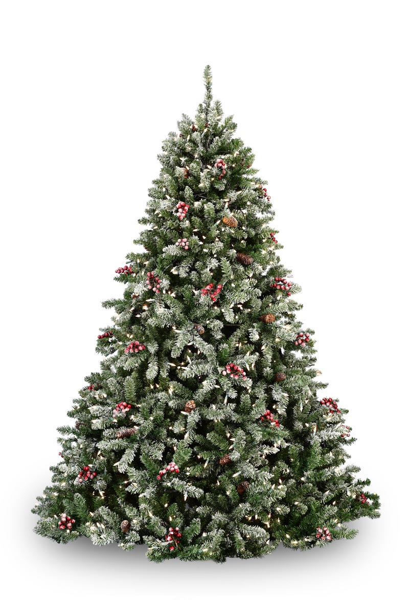 Flocked Hawthorne Prelit Tree Christmas Lights Etc regarding measurements 800 X 1174