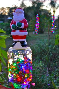 Florida Christmas Lights Phillips Natural World with sizing 1067 X 1600