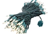 Frosted White Christmas Mini Lights Set 100 Light Green Wire 50 Feet with sizing 1000 X 1000