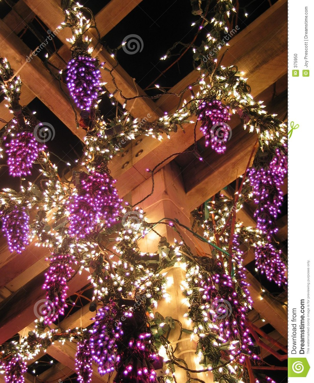 Grape Christmas Lights • Christmas Lights Ideas