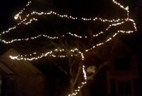 Hang Christmas Lights In Outdoor Trees Entzeroth intended for size 955 X 1024