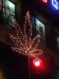 Have A Marijuana Christmas There Are Rows Of These Lights Flickr with size 768 X 1024