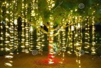 Holiday Lights In Tree Summer Night Stock Photo Image Of Festive throughout size 1300 X 1065