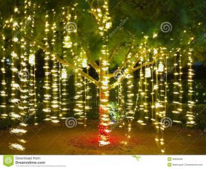 Holiday Lights In Tree Summer Night Stock Photo Image Of Festive throughout size 1300 X 1065