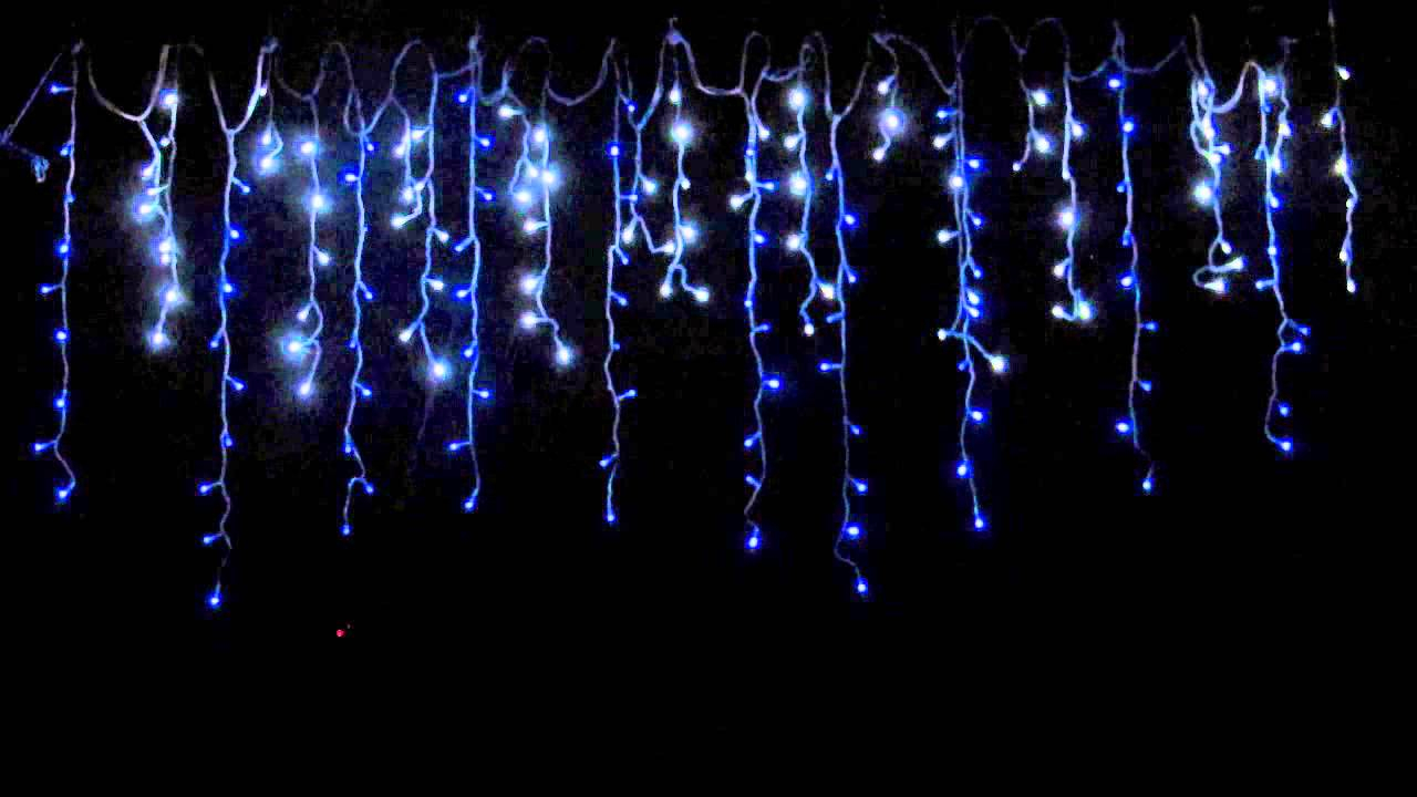 Icicle Lights 180 Blue Cool White Superbright Twinkle Led Bulbs intended for dimensions 1280 X 720