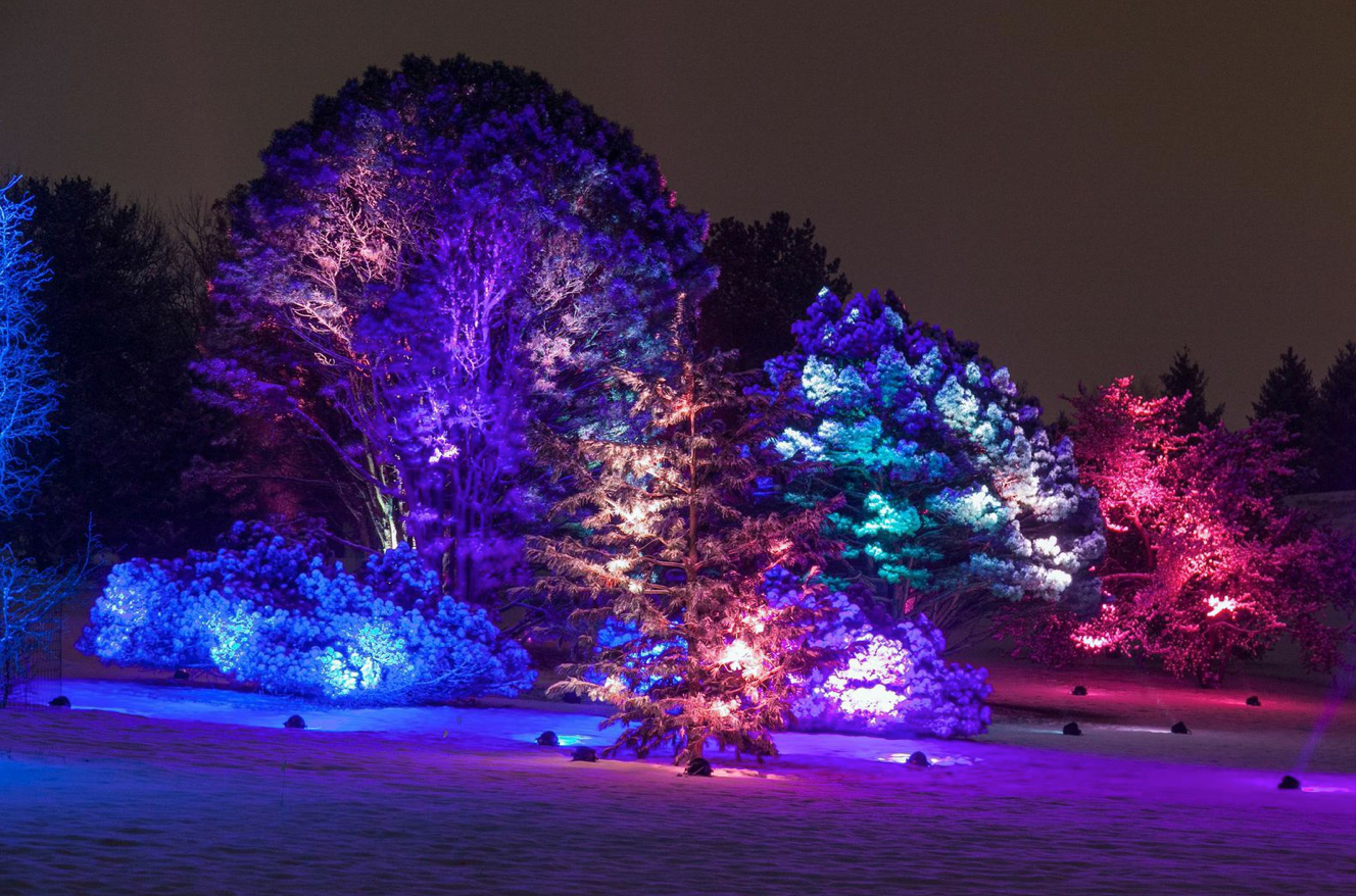 Morton Arboretum Christmas Lights • Christmas Lights Ideas