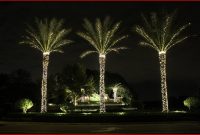 Imagehowtodecorateapalmtreewithchristmaslights11 Ts1 pertaining to sizing 1206 X 806