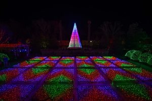 In Photos Nc Arboretums Second Annual Winter Lights Holiday inside size 1100 X 734