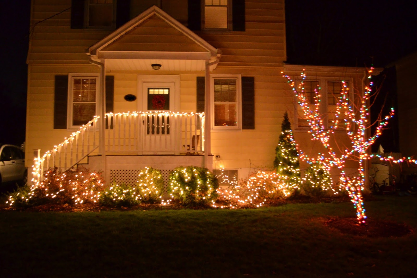 Outdoor Christmas Lights On Bushes • Christmas Lights Ideas